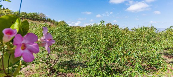 3 bedrooms House in Campanillas, Spain No. 43067 31