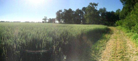 17 rooms House in Klosterneuburg, Austria No. 173322 8