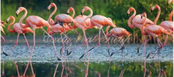 Villa 3+1 in Bodrum, Turkey No. 28770 26