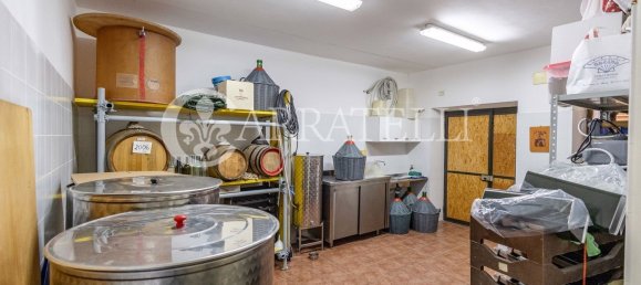 10 rooms House in Castel del Piano, Italy No. 259768 40