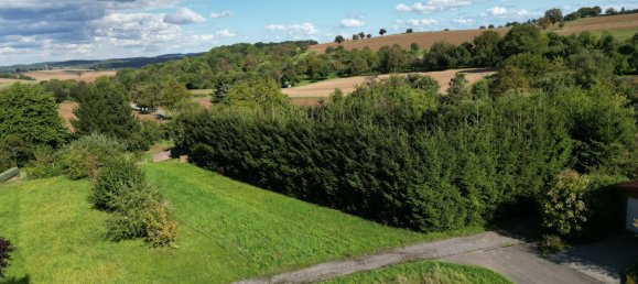 Земельный участок в Рейн-Неккар, Германия № 301008 3