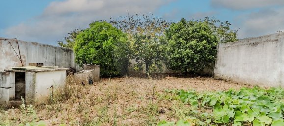 5 غرف نوم منزل في Cadaval, Portugal رقم 45902 44