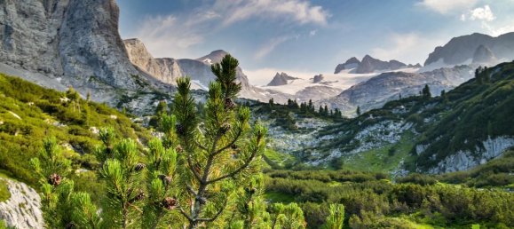 24-Zimmer Haus in Obertraun, Austria, Nr. 52358 7