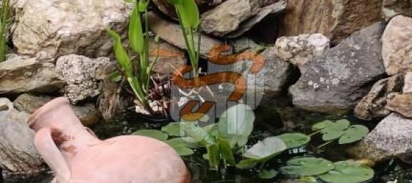 4870m² Land in A Coruna, Spain No. 161102 15