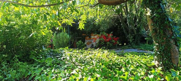 4870m² Land in A Coruna, Spain No. 161102 25