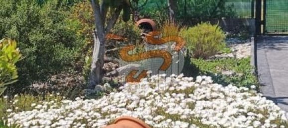 4870m² Land in A Coruna, Spain No. 161102 19