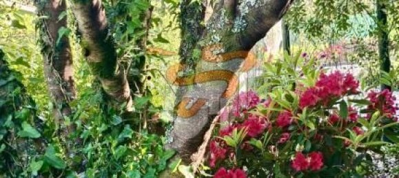 4870m² Land in A Coruna, Spain No. 161102 26