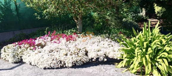 4870m² Land in A Coruna, Spain No. 161102 17