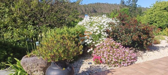 4870m² Land in A Coruna, Spain No. 161102 32