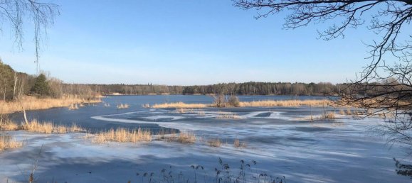 2-Zimmer Wohnung in Tegel, Germany, Nr. 348406 19