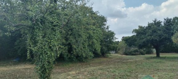 9غرفة منزل في Udine, Italy رقم 132487 11