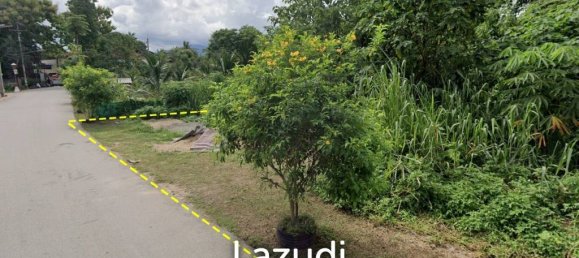  Commercial property in Saraphi, Thailand No. 14834 4