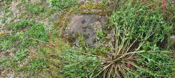 Terrain à Doubs, France No. 340224 4
