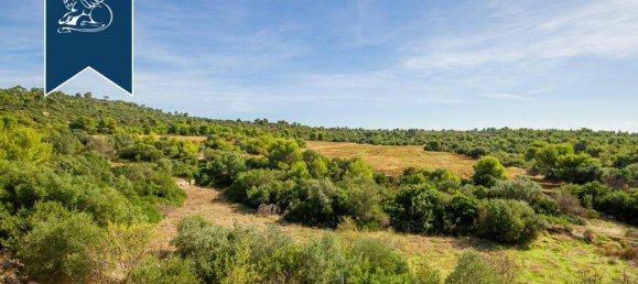 Castelos T12 em Massafra, Italy N.º 329331 10