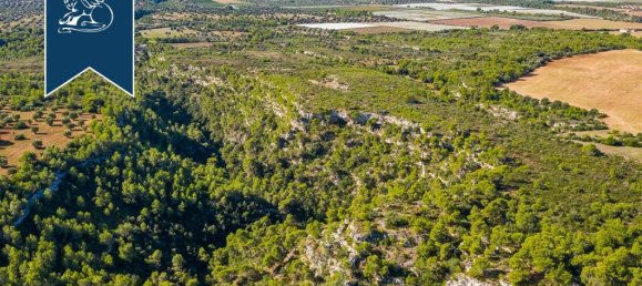 Castelos T12 em Massafra, Italy N.º 329331 39