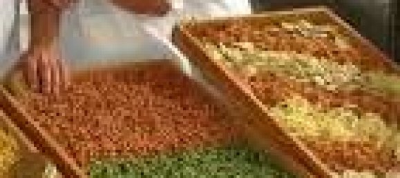 55m² Commercial property in Milan, Italy No. 240028 9