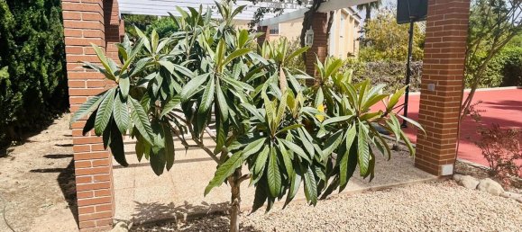 7 غرف نوم منزل في Benidorm, Spain رقم 54676 25