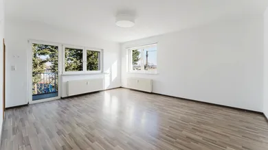 1 bedroom Apartment in Schwanenstadt, Austria No. 196122