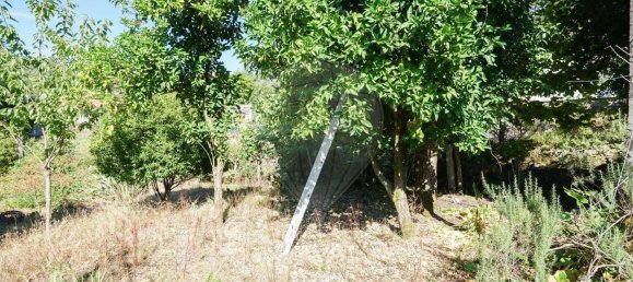 2 bedrooms House in Povoa de Lanhoso, Portugal No. 164319 9