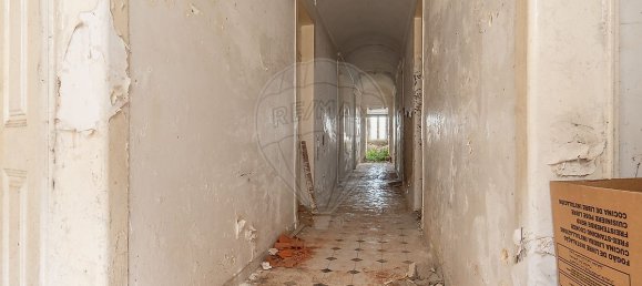 12 bedrooms House in Sousel, Portugal No. 22234 7