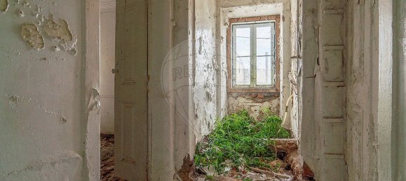 12 bedrooms House in Sousel, Portugal No. 22234 11