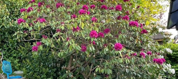 3 غرف نوم تاون هاوس في Lindau, Germany رقم 118141 9