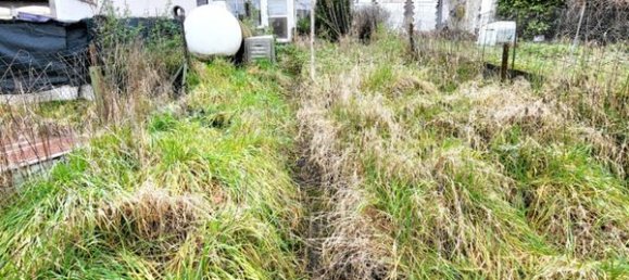 3غرفة منزل في Rehon, France رقم 42299 11