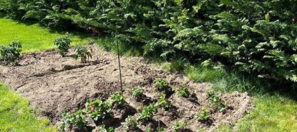 5 rooms Villa in Kreuttal, Austria No. 233840 21