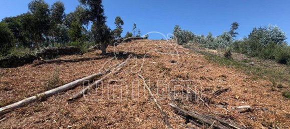 1717m² Land in Viana do Castelo, Portugal No. 194605 9