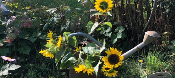 Terreno en Dresden, Germany No. 291874 16