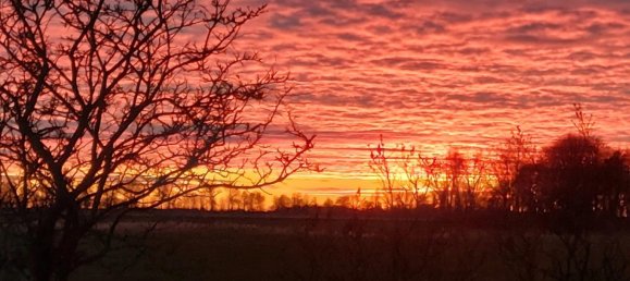 7 rooms House in Nordfriesland, Germany No. 326790 24