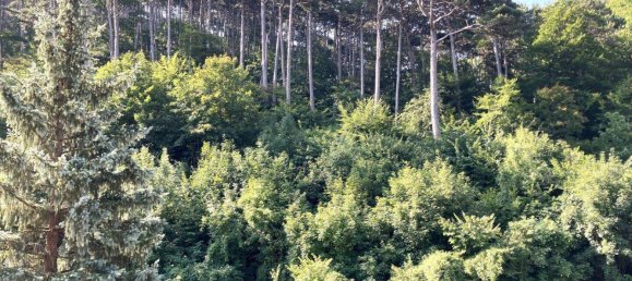 4-Zimmer Stadthaus in Hinterbrühl, Austria, Nr. 217523 20