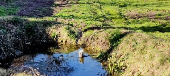 Terreno en Soria, Spain 738 m² No. 69509 12