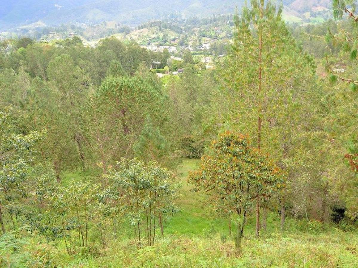 Grundstück in Antioquia, Colombia, Nr. 698