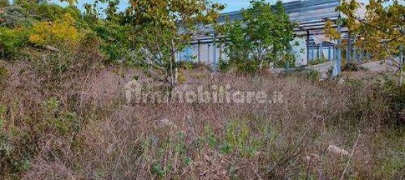 استوديو في Noto, Italy رقم 150077 13