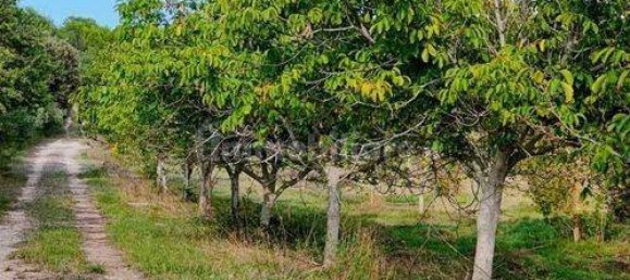 استوديو في Noto, Italy رقم 150077 7