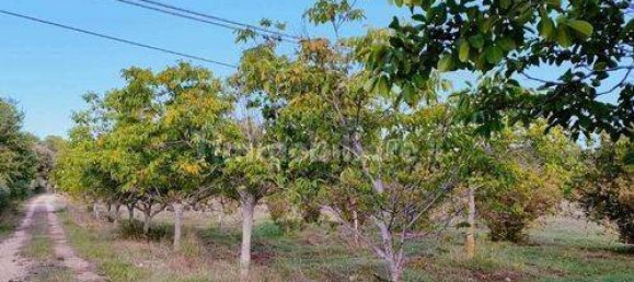 استوديو في Noto, Italy رقم 150077 8