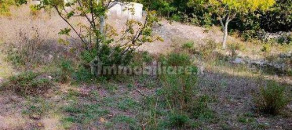 استوديو في Noto, Italy رقم 150077 16