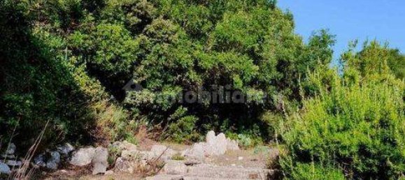 استوديو في Noto, Italy رقم 150077 20