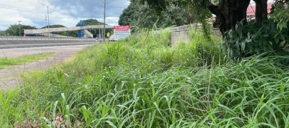 Grundstück in Liberia, Costa Rica, Nr. 1658 5