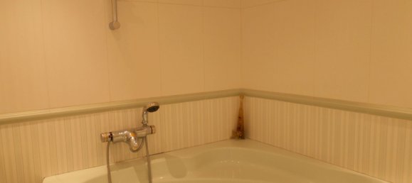 Ático de 3 dormitorios en Comunidad Autónoma Vasca, Spain No. 172245 19