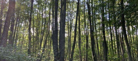  Land in Nordwestmecklenburg, Germany No. 149417 7