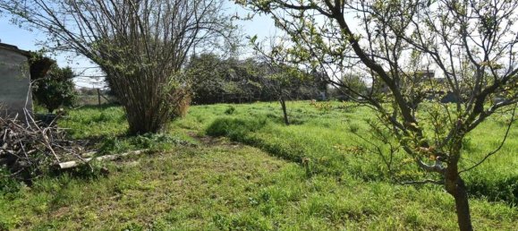 6 rooms Villa in Seravezza, Italy No. 117140 8