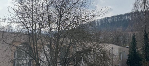 1 chambre Appartement à Eichsfeld, Germany No. 142908 2