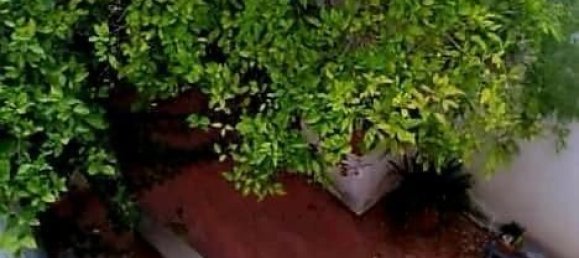 8 Schlafzimmer Haus in Arcos de la Frontera, Spain, Nr. 100073 5