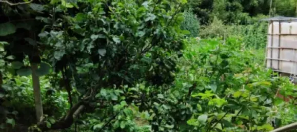  Land in Basque Autonomous Community, Spain No. 145391 10