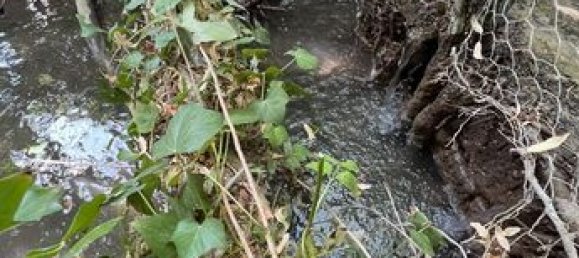 1 bedroom House in Argy, France No. 302868 6