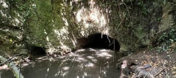 1 bedroom House in Argy, France No. 302868 5