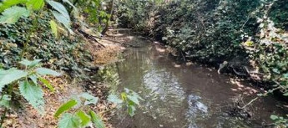 1 bedroom House in Argy, France No. 302868 7