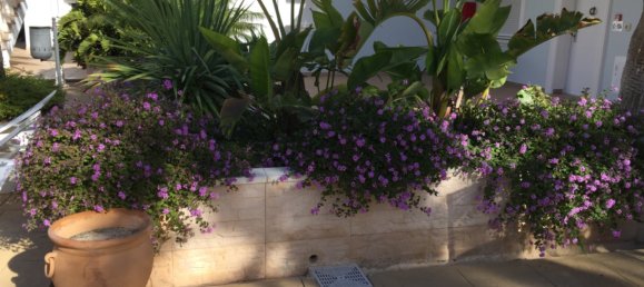 1 bedroom Apartment in Benissa, Spain No. 76756 2